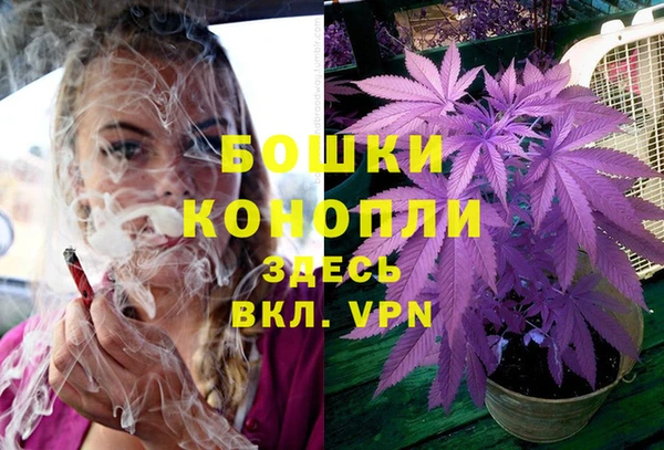 хмурый Белая Калитва